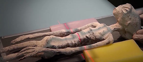 momia21Le incredibili mummie di Nazca560