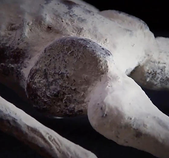 momia22Le incredibili mummie di Nazca560