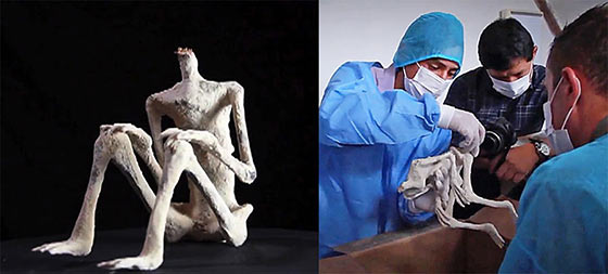 momia43 44Le incredibili mummie di Nazca560